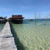 Spectacular beach littered with starfish….