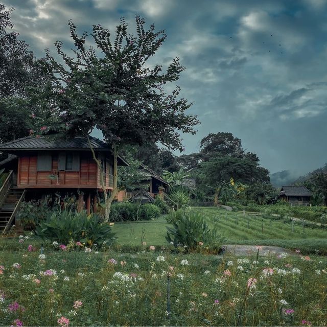 หลองข้าวสะเมิง บ้านพักบรรยากาศดี ในอ้อมกอดขุนเขา