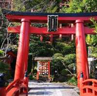 日本三大稻荷神社之一 ⛩祐德稻荷神社🌱