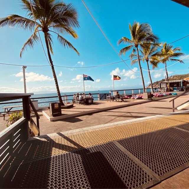 Townsville 隔壁的小島、你一定要去看看野生的無尾熊，就在你面前