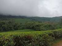 Meghamalai - Wavy mountains 