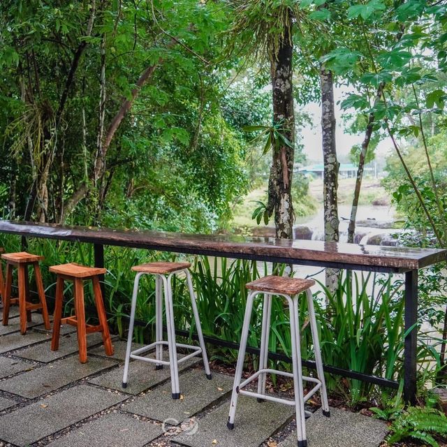 Warista cafe and garden 