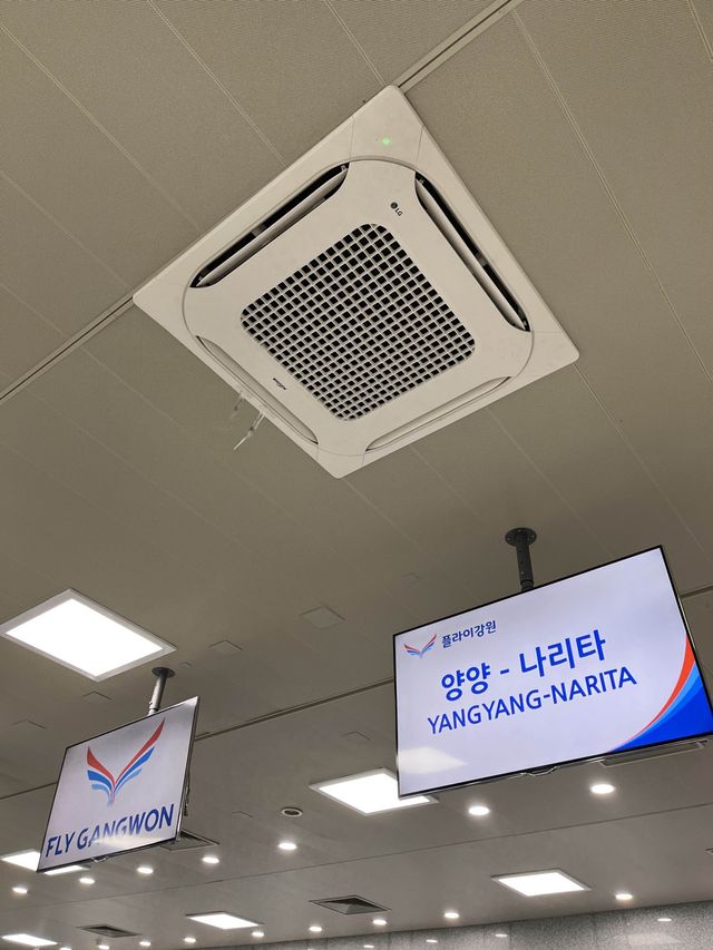 양양에서도 일본까지 갈 수 있다고?!🇰🇷✈️🇯🇵