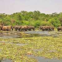 21 day Uganda safaris,wildlife and adventure 