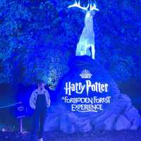 英國 哈利波特 禁忌森林體驗 Harry Potter: A Forbidden Forest Experience