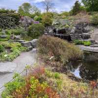 Visiting the botanical garden in Oslo