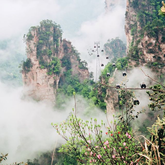 Avatar Mountains, Zhangjiajie, China