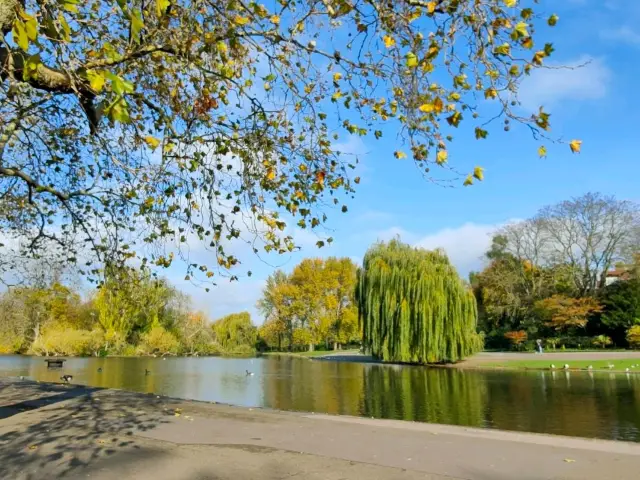 Beautiful in all seasons - Regent's Park 🇬🇧