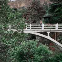 Botanical greenery of Tbilisi
