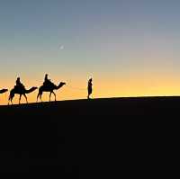 Sahara desert tour