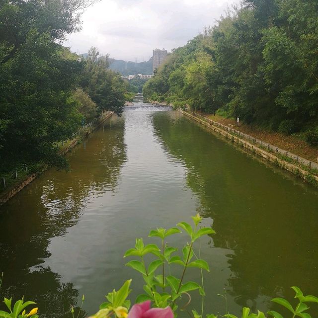 Bijiashan Park, Shenzhen