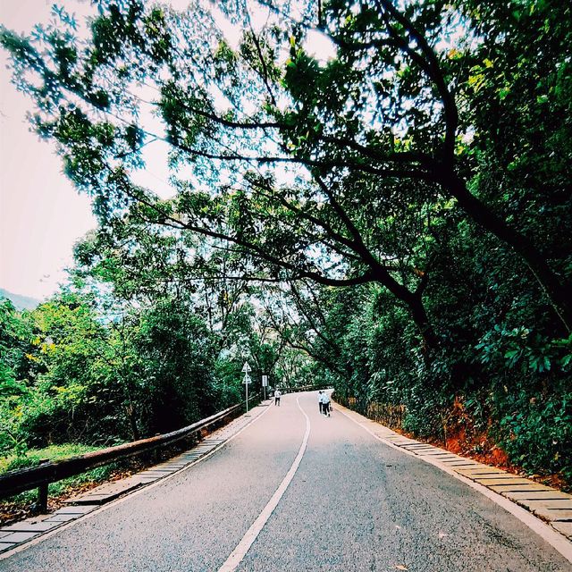 Climbing up Small Wutong ❤️