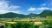 日本 ｜跳島藝術遊の小豆島