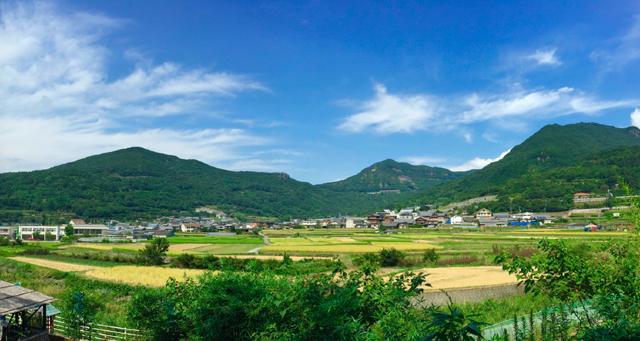日本 ｜跳島藝術遊の小豆島
