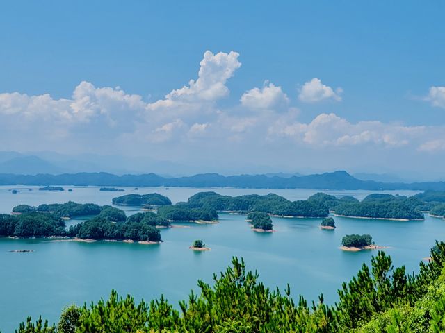 Thousand Island isn’t just a dressing!Go&C! Thousand Island isn’t just a dressing!Go&C!