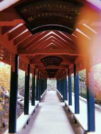 Spring In Yantai 