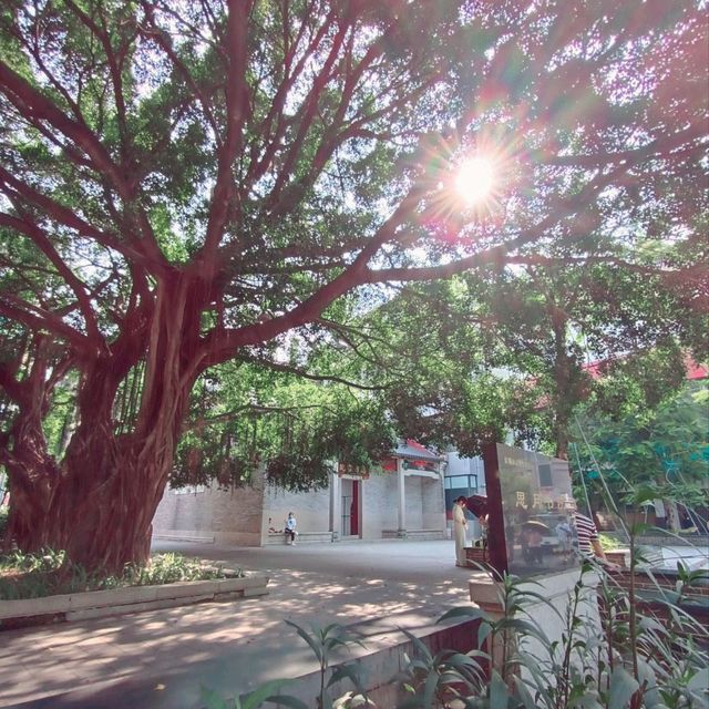 Siyue Academy 