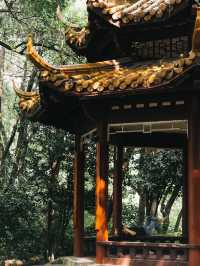 Lush Green Park on a hill in Hangzhou 🌳🌿🌸