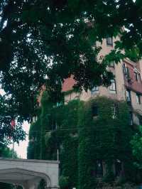 Beautiful Building on Yongjia Lu🌱🌿