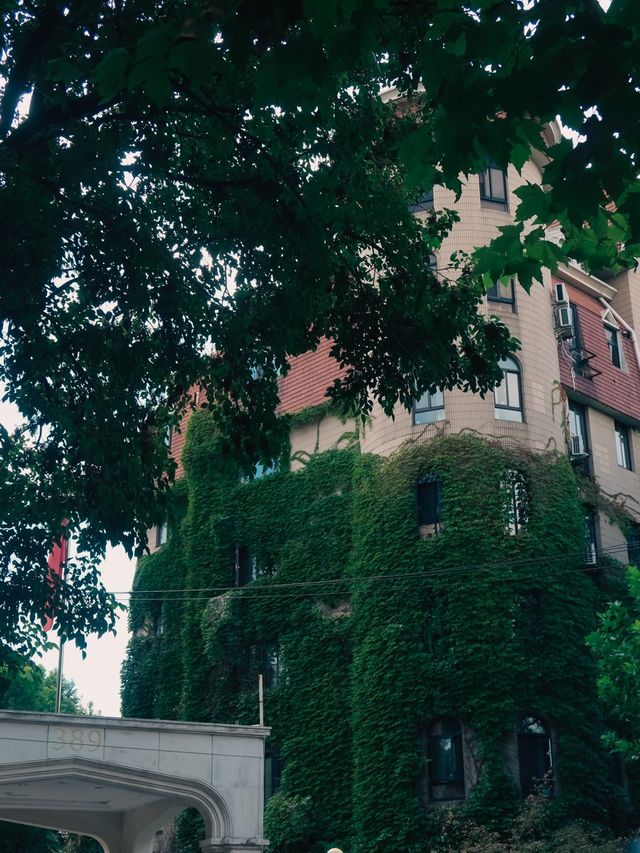 Beautiful Building on Yongjia Lu🌱🌿