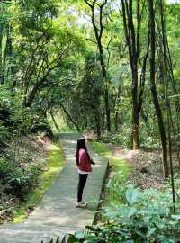 Guangzhou Surrounding Tour | Xiqiao Mountain · Foshan Off-the-Beaten-Path Hiking Route Guide