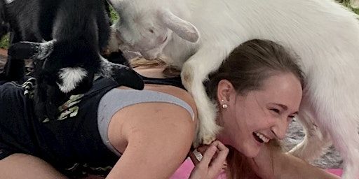 Goat Yoga Outside at Lakewood Brewing Company, Garland, TX | Lakewood Brewery 2302 Executive Dr, Garland, TX 75041