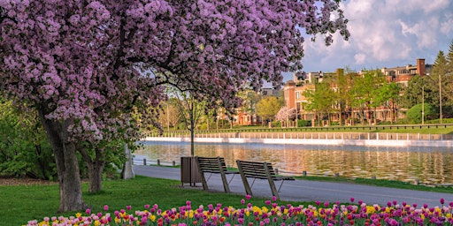 Henry's Ottawa Spring Photo Walk | Henry's Ottawa - Bank Street