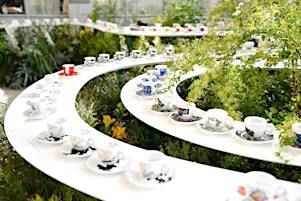 illy x The Cultivist: Art for Thought with Aindrea Emelife | Apricity Restaurant Mayfair