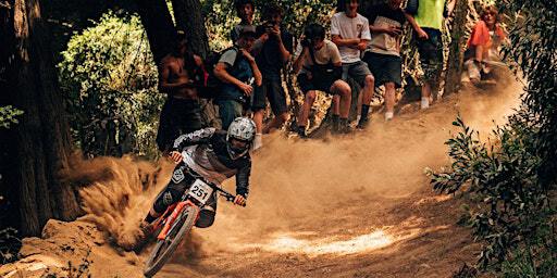 Dave's Race: GC Summer Series DH3 | Victoria Park/Port Hills