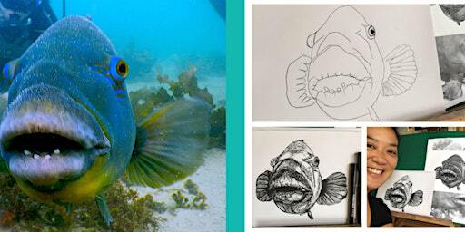 Observational Illustration and Marine Discovery Art Workshop | Cronulla Library