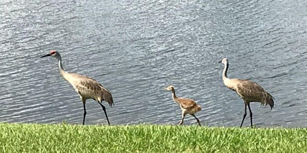 Aquatic Pest Control Exam Prep | UF/IFAS Extension Hillsborough County