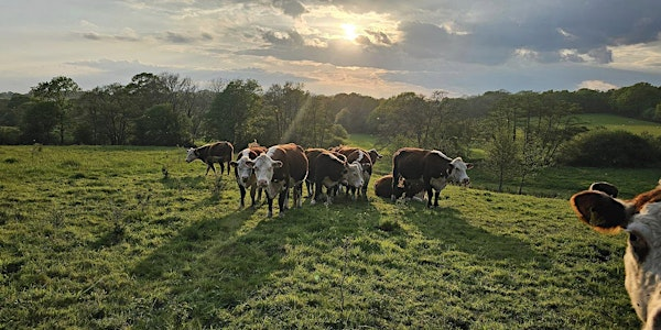 Healthy humans, communities, soils and farms. Is it possible? | County Hall