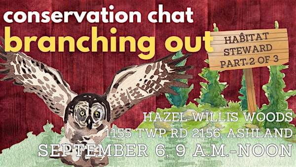Conservation Chat: Branching Out | Hazel Willis Woods