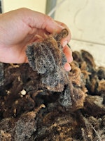 Wool Party at the Mill | Siren Song Fleece Works