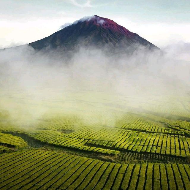 Kerinci Mountain