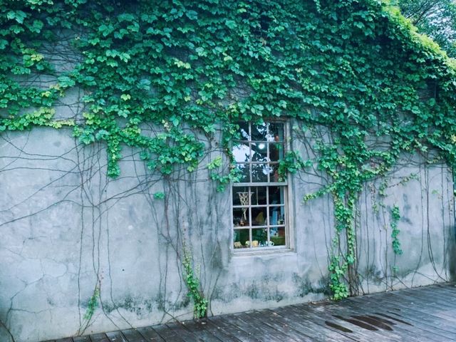 松園別館📍花蓮美崙山📍歷史文化景點