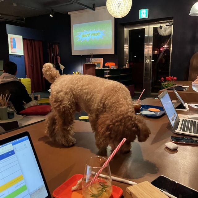 회기역 감성카페 1:11am