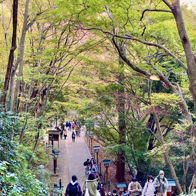 高尾山の男坂