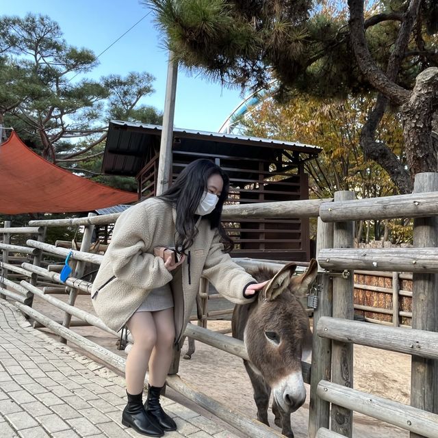 대구 스파밸리 네이쳐파크