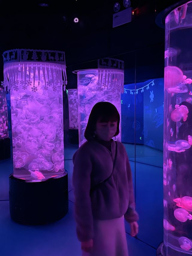 - 𝟸𝟶𝟸𝟸 ᴏᴄᴇᴀɴ ᴘᴀʀᴋ -