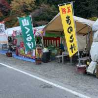【山梨】紅葉の名所「昇仙峡」