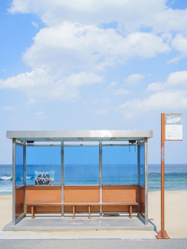강릉 청량청량한 오션뷰 BTS버스정류장 🚏