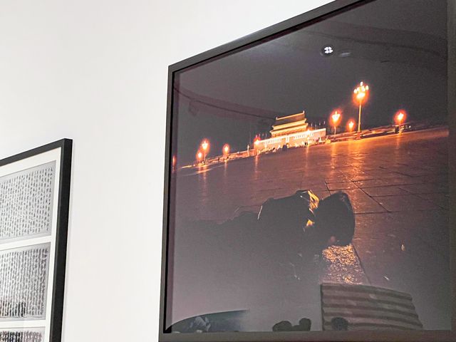 M+博物館 -  希克藏品展覽 M+博物館 -  希克藏品展覽
