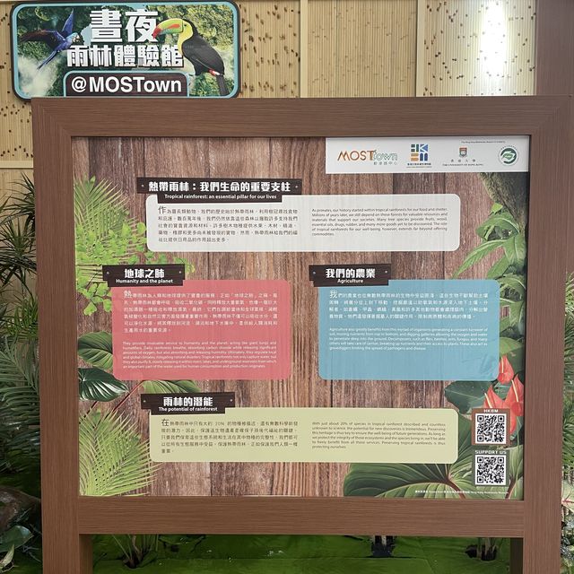 📸開心遊戲打卡好去處📸🐦「盛夏雨林探索站」🐦