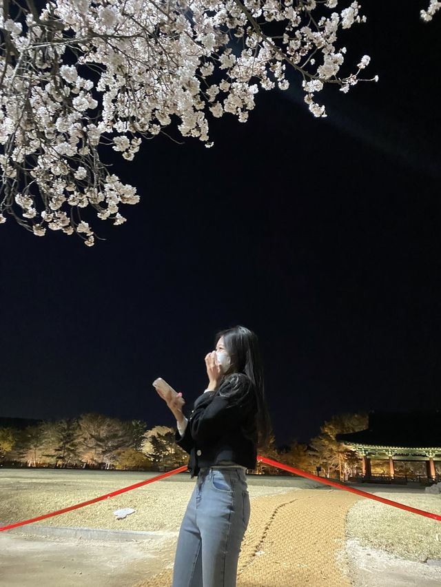 경주 야경이 아름다운 '동궁과 월지' 🎑