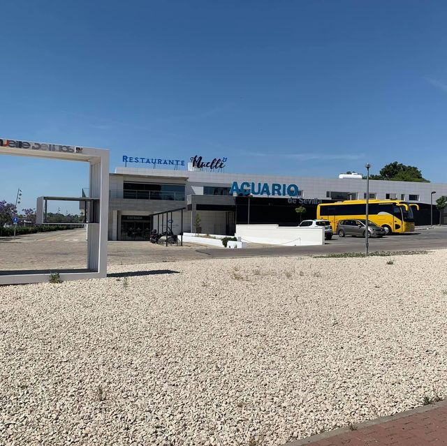 Seville aquarium 