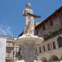 極具特色的當地市場 piazza delle erbe