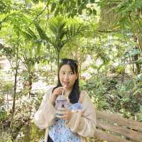 Khao Suan Pho - เขาสวนพ่อ