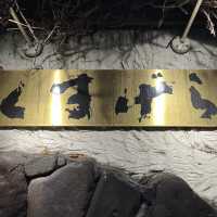 富良野で言わずと知れた有名店！くまげら🐻