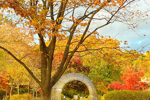 [서울] 단풍이 예쁜 궁🍂 경복궁 구석구석 | 트립닷컴 서울